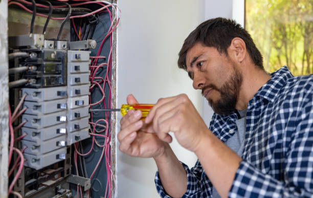 Best Electric Panel Repair  in Nicholls, GA
